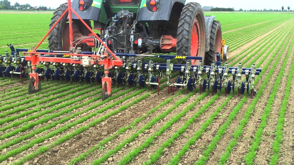 Machine weed